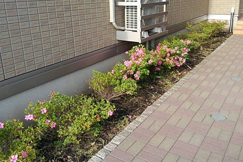 after after
